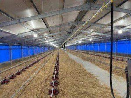 Chemvet Chicken Housing